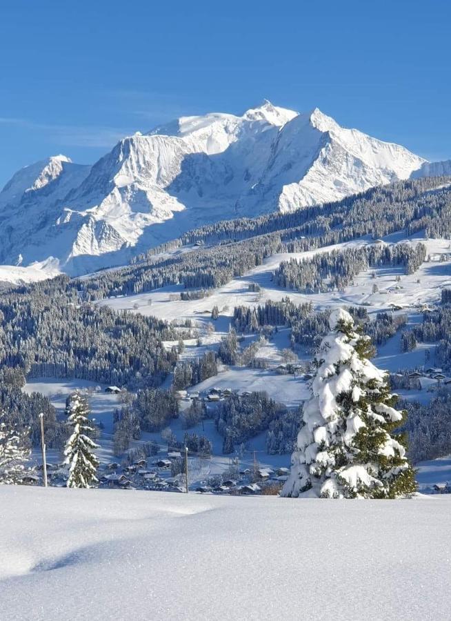 Ferienwohnung Le Sapin B19 Megeve - Demi Quartier Exterior foto